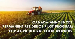 加拿大农业及食品试点项目