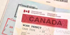 加拿大跨国公司高管工签（ICT）移民