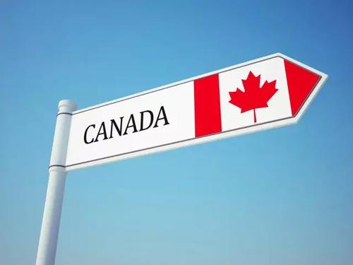 【快讯】2020年加拿大新移民预计减少17万 ，学签及工签申请亦大幅下降